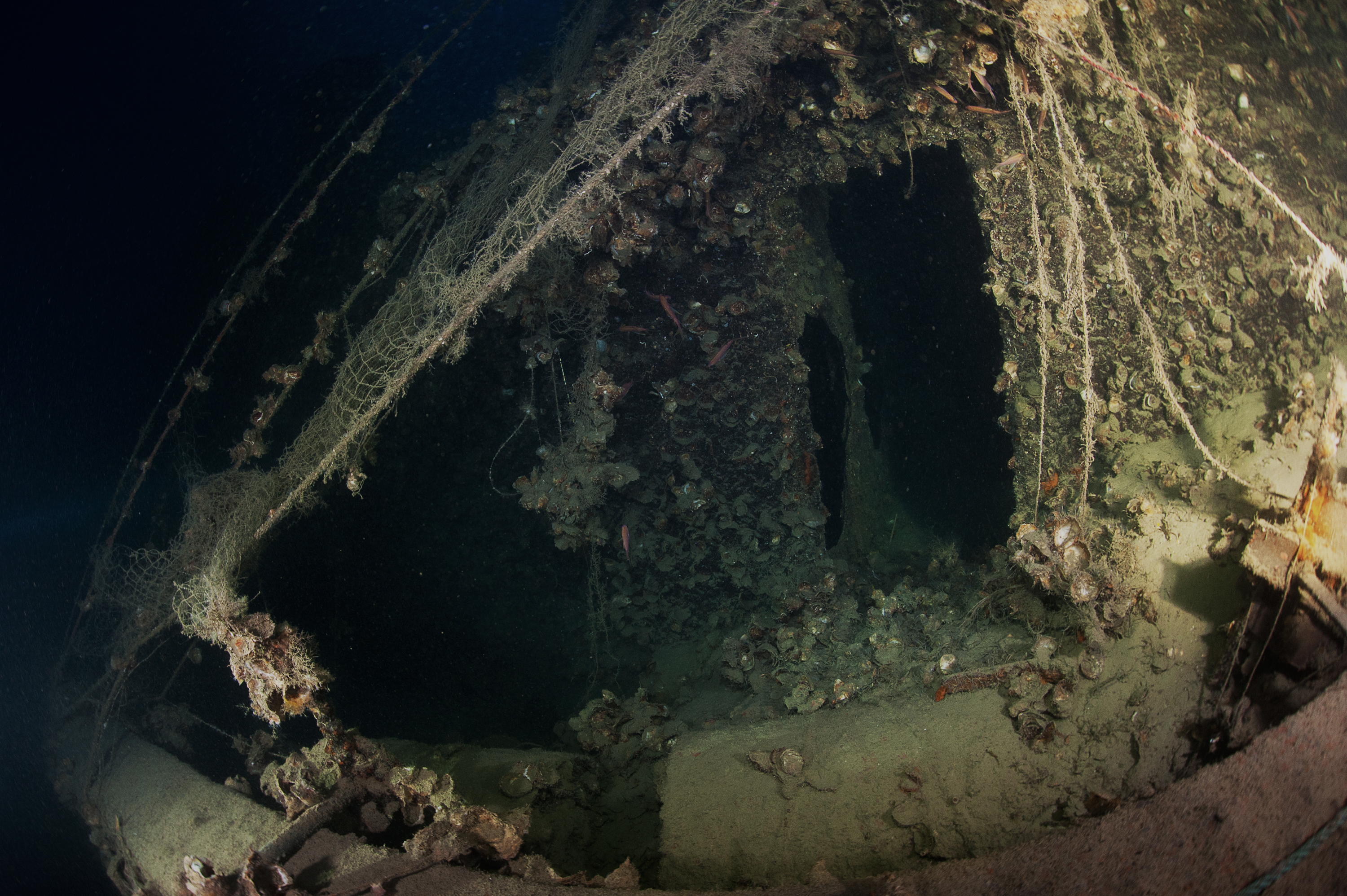 At 99m, a tiny door entrance on the main deck's starboard side at UJ-2208's stern. Photo by Marco Mori.