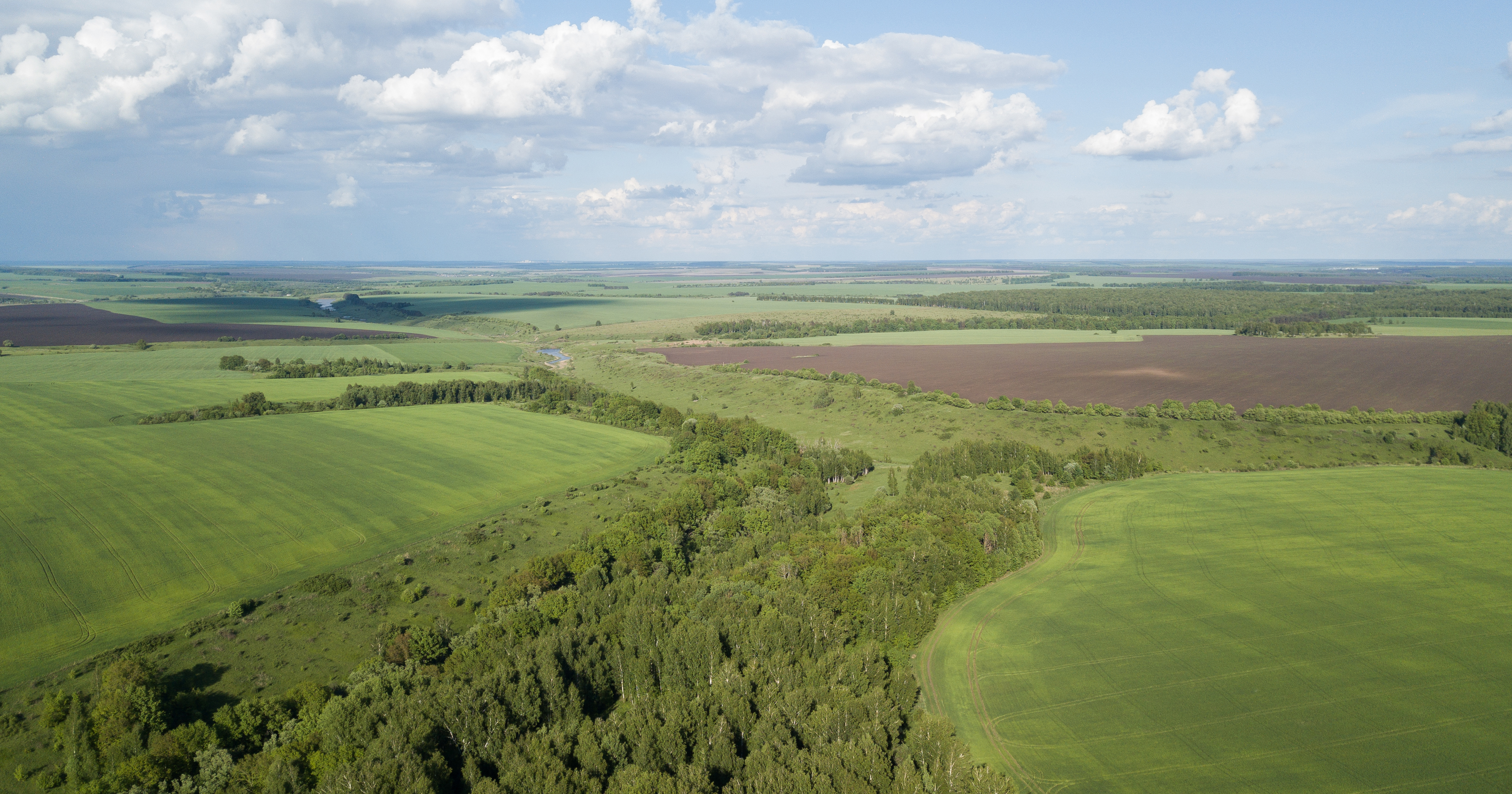 Site of the Battle of Sudbischen, Oryol, Russia. Photo by Stanislav Trofimov